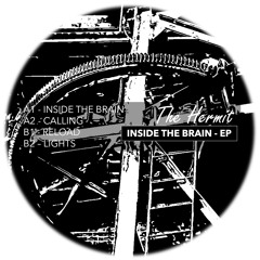 INSIDE THE BRAIN