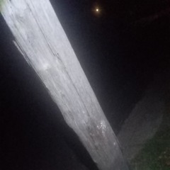 A Post a post! Tells ya Post!