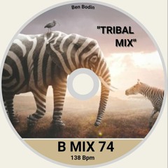 B mix 74