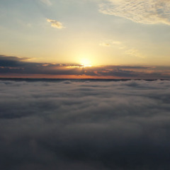 New Beginnings- A Journey of Stillness