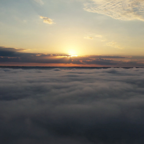 New Beginnings- A Journey of Stillness