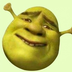 SchrecklicherShrekBeat(180er)