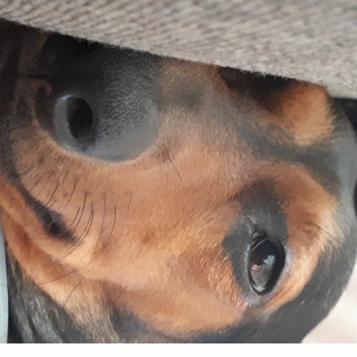 Enero Psy 3 Dic 2023