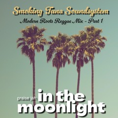 Smoking Tuna Sound - in the moonlight - Part 1 - Reggae Mix 2024