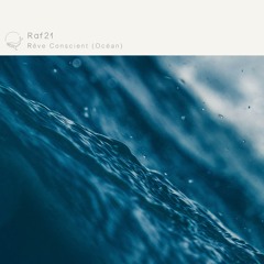 Rêve Conscient (Le Code Rework)