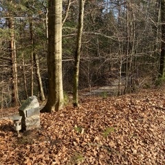 meant2be (johnnyfriend)