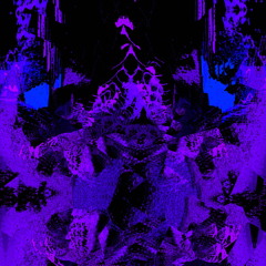 skotosspxder_real_demo