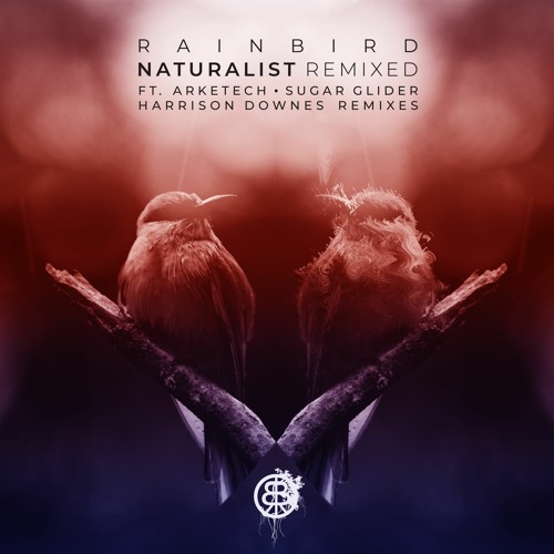 Rainbird - Et Cetera (arketech Remix) • Preview • OUT NOW