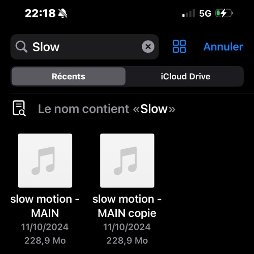 SLOW MOTION