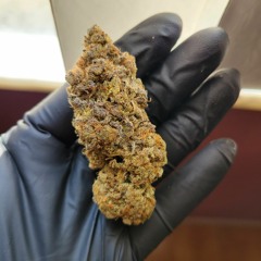 08202023 Freestyle Prod. Eyezech