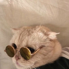 ‎⁨ما اقوى زعل حبيب قلبي وعيني ♥️⁩