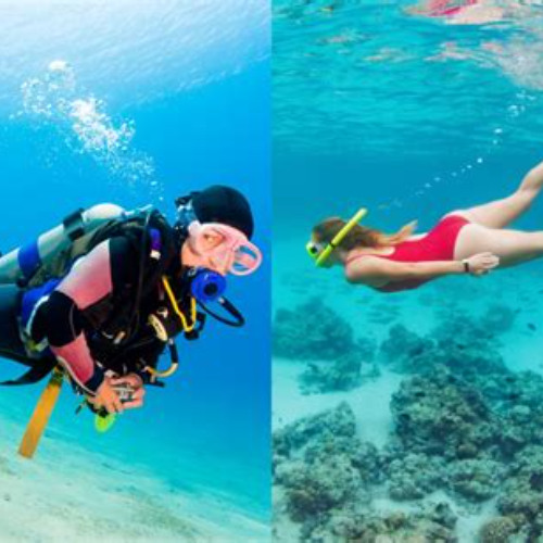 Best Difference Between Snorkeling And Scuba Diving Prices Reviews