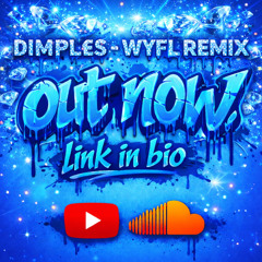 DIMPL£S - WYFL remix