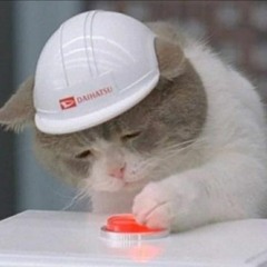 fireworks (1take radiator hospital cover)