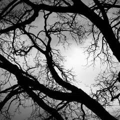 The Horror I Bring (Prod. by Haze)