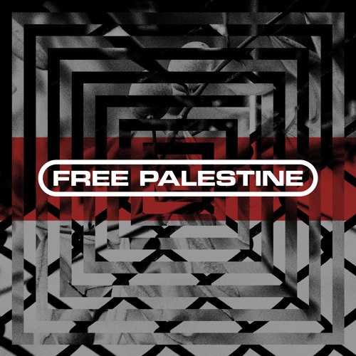 PREMIERE: Matthieu Benjamin Ft. Reticulan - Dustbound Despair [FREEPALESTINE VA2]