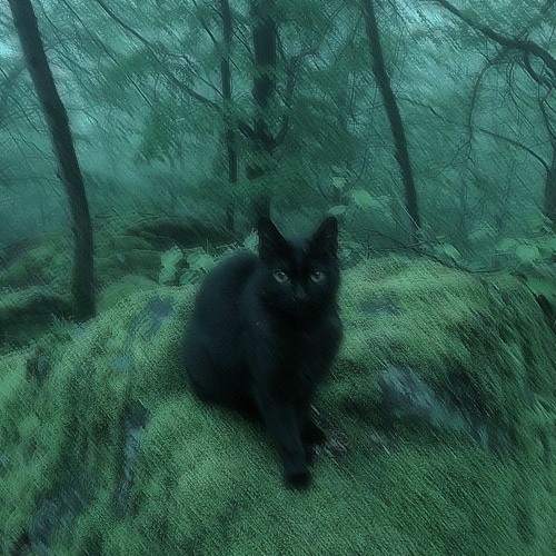 stuck w caliyon (prod. herogod)