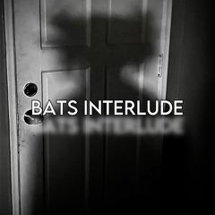 BATS INTERLUDE