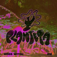 012 | 'Rising From The Ashes' by Moss Witch