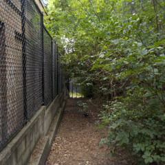 hallways