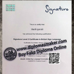 How to make a fake Signature Level 2 Certificate online?