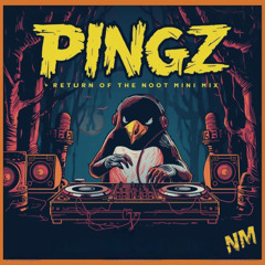 PINGZ - RETURN OF THE NOOT MINI MIX VOL 1