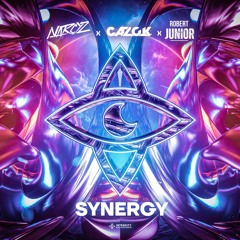 Narcyz, CAZOK & Robert Junior - Synergy