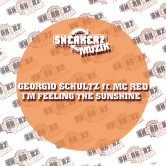 I'm Feeling The Sunshine (feat. MC Red) [Bryan Dalton Dub Mix]