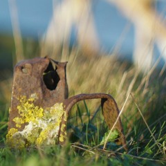 Phole & Jelger Stáál - Prikkeldraadsel (tenketang)
