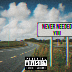 Never Needed You (Prod. Young Taylor)