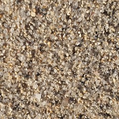Summerstalgia - 03112024