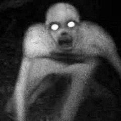 THE RAKE - instrumental)