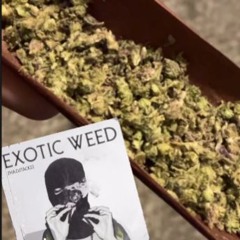 upthaaskore-Abandoned