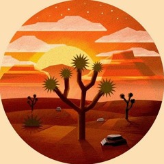 In Search Of Desert Vibes