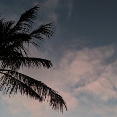 Hotline Bling - Cover