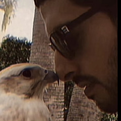 ‎يا طير سلم ع الحبيب-حربي