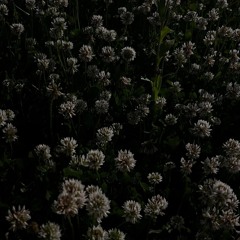 (COVER) 마크툽 - 찰나가 영원이 될 때