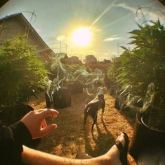 МАЦУРА feat. MASTAVINT - Пламя