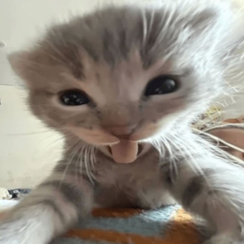 WEEK 111 - 20251026 oops