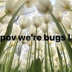 pov we're bugs!!!! (clip)
