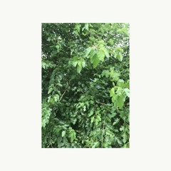 soundcloud mix