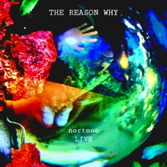 The Reason Why