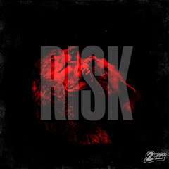 2Oppy Feat Double C - Risk