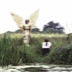 WITHDRAWAL *p.enabler