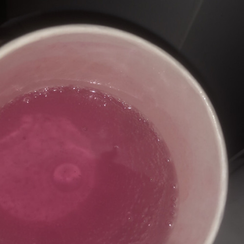 slowkidd// 4oz in da schweppes