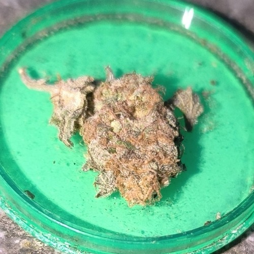 🥶