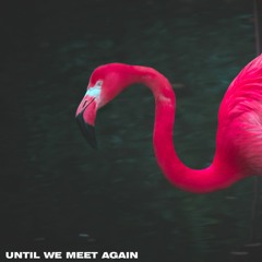 Until We Meet Again