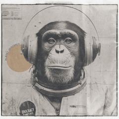 Planet Idiocracy (Single) • BLOWsutra Peace Odyssey DUB