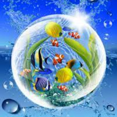 Nature Podcast Music