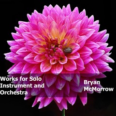 Three Pieces for Viola and Orchestra - III. The Thrilling Chase